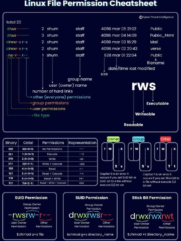 Tô na fase das cheatsheet