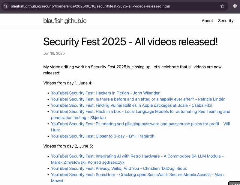 Security Fest is an inspiring and unique IT security conference held in Gothenburg, Sweden. The event is an excellent opportunity to learn more about IT security, and a great way to connect with both the renowned international speakers, and the other attendees.