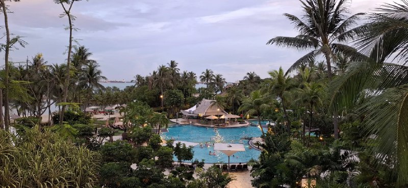 Finding Freedom, One Bug at a Time: My Journey from Pentester to Full-Time Hunter